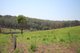 Photo - 242 Gardner Rd , North Deep Creek QLD 4570 - Image 14