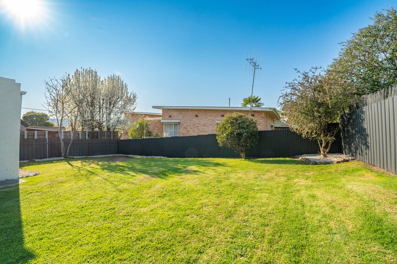 Photo - 242 Mount Street, East Albury NSW 2640 - Image 23