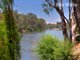 Photo - 242 River Street, Corowa NSW 2646 - Image 3