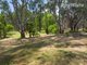 Photo - 242 River Street, Corowa NSW 2646 - Image 18