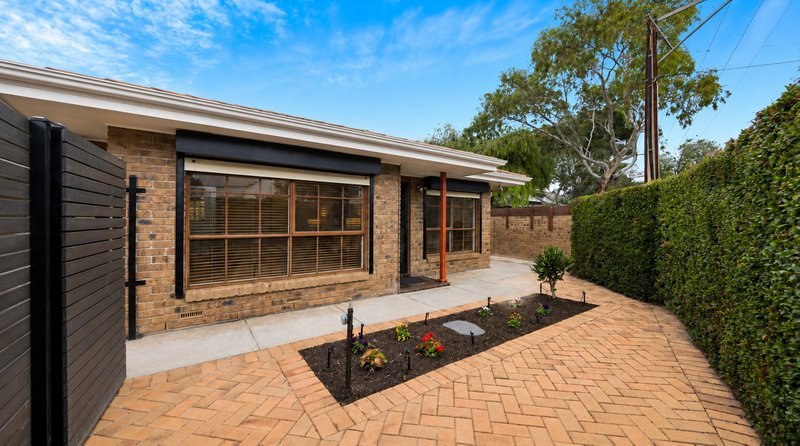 Photo - 242 Robin Road, Semaphore SA 5019 - Image 10