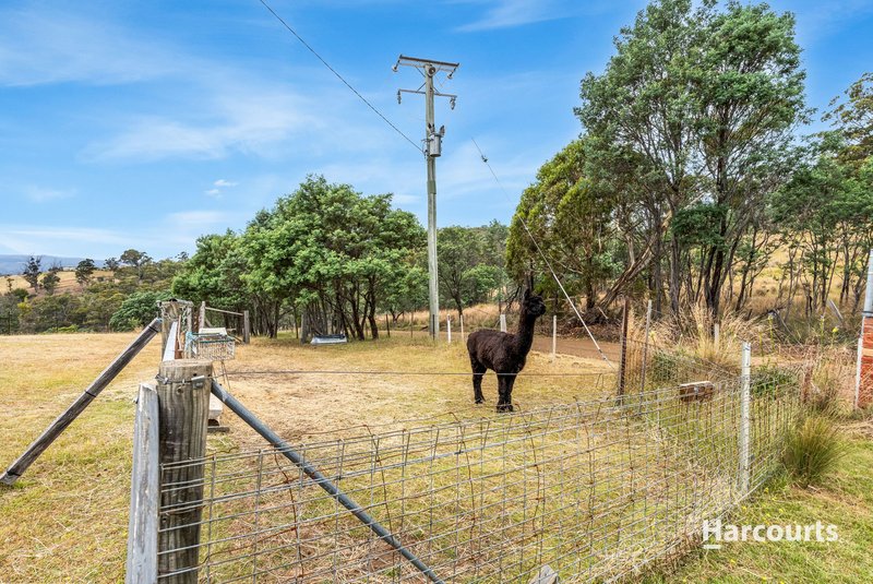 Photo - 242 Springhill Bottom Road, Colebrook TAS 7027 - Image 23