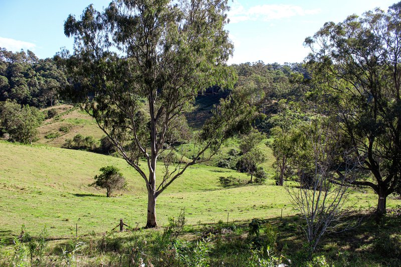 Photo - 2425 Pine Creek Road, Bentley NSW 2480 - Image 22