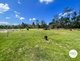 Photo - 243 Messmate Drive, Miriam Vale QLD 4677 - Image 13