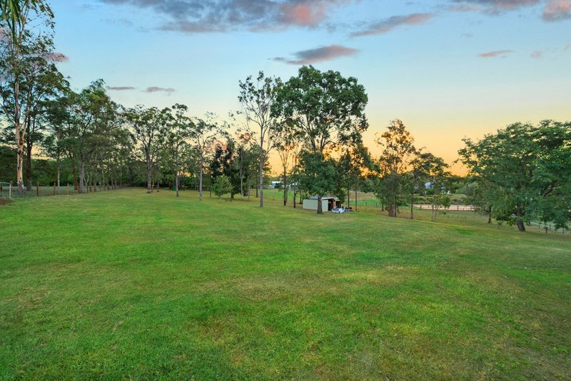 Photo - 243 Mt Glorious Road, Samford Valley QLD 4520 - Image 12