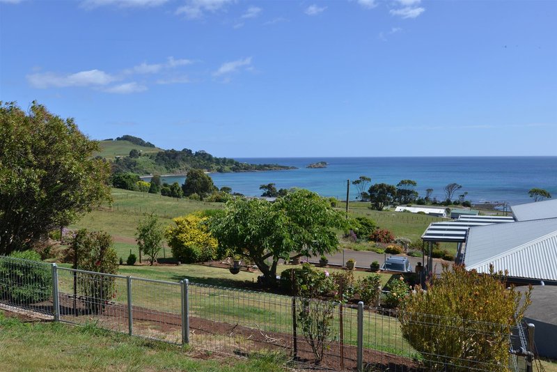 Photo - 243 Penguin Road, West Ulverstone TAS 7315 - Image 18