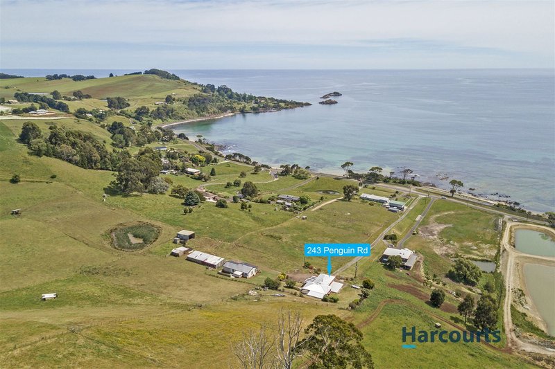 Photo - 243 Penguin Road, West Ulverstone TAS 7315 - Image 19