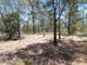 Photo - 244 Pacific Drive, Deepwater QLD 4674 - Image 10