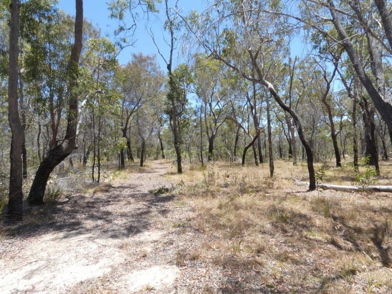 Photo - 244 Pacific Drive, Deepwater QLD 4674 - Image 15