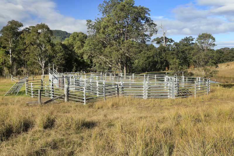 Photo - 2441 Salisbury Road, Dungog NSW 2420 - Image 7