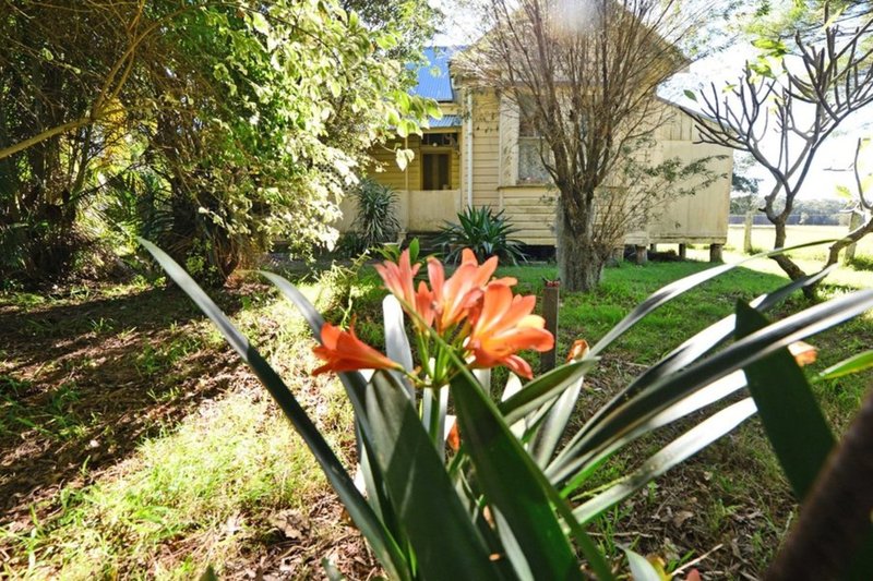 Photo - 245 Beach Road, Mitchells Island NSW 2430 - Image 14