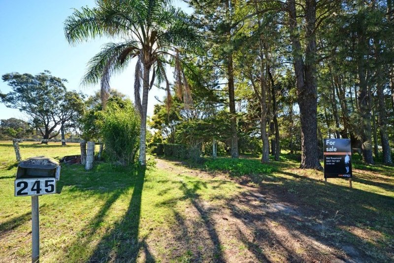Photo - 245 Beach Road, Mitchells Island NSW 2430 - Image 15