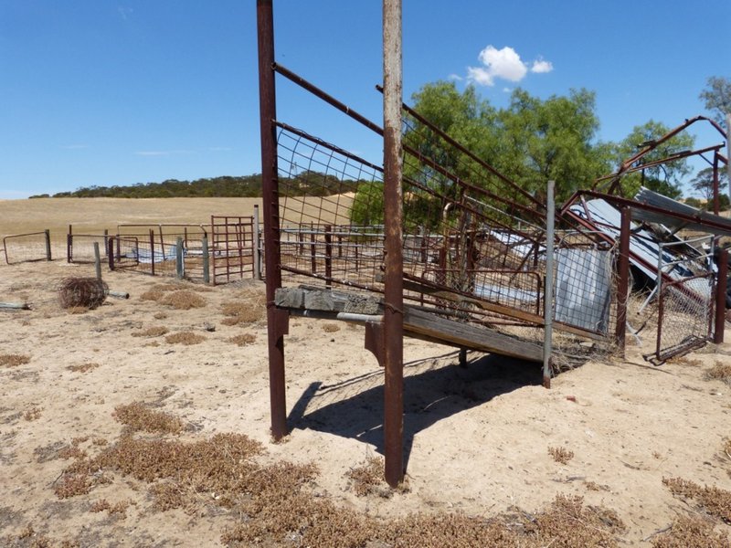 Photo - 245 Mallee Hills Road, Lameroo SA 5302 - Image 6