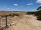 Photo - 245 Mallee Hills Road, Lameroo SA 5302 - Image 9