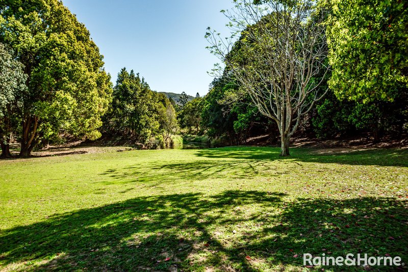 Photo - 245 Middle Creek Road, Federal QLD 4568 - Image 5