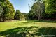 Photo - 245 Middle Creek Road, Federal QLD 4568 - Image 5