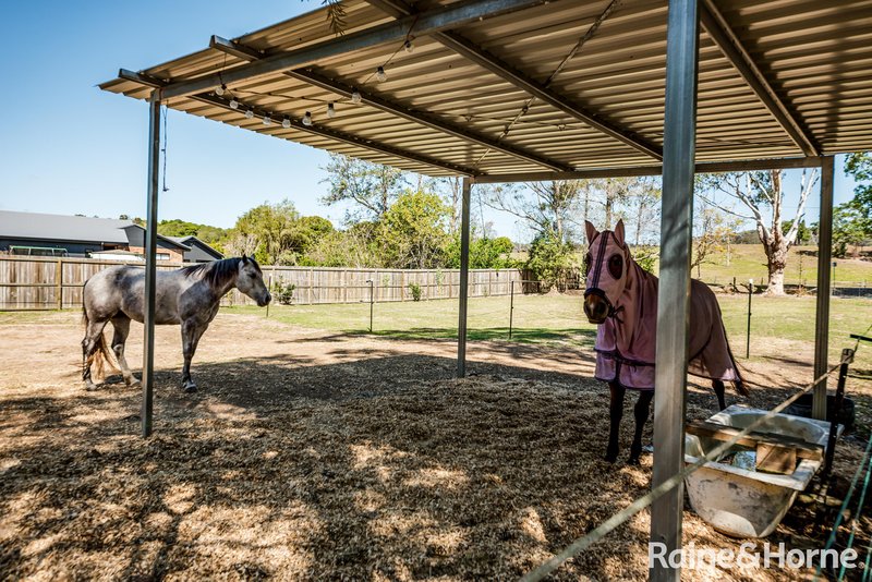 Photo - 245 Middle Creek Road, Federal QLD 4568 - Image 10