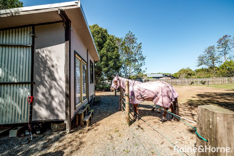 Photo - 245 Middle Creek Road, Federal QLD 4568 - Image 26