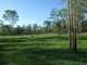 Photo - 245 Wildman Road, Iveragh QLD 4680 - Image 3