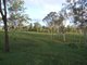 Photo - 245 Wildman Road, Iveragh QLD 4680 - Image 17