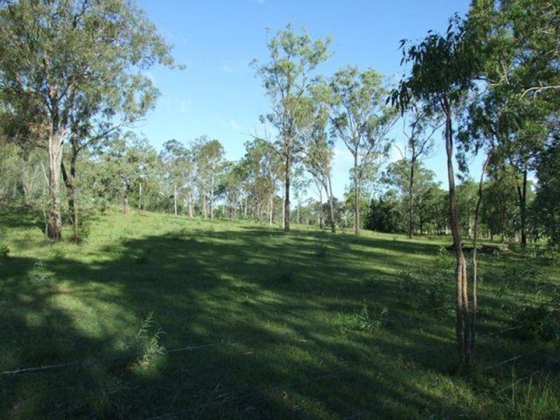 Photo - 245 Wildman Road, Iveragh QLD 4680 - Image 22