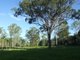 Photo - 245 Wildman Road, Iveragh QLD 4680 - Image 24