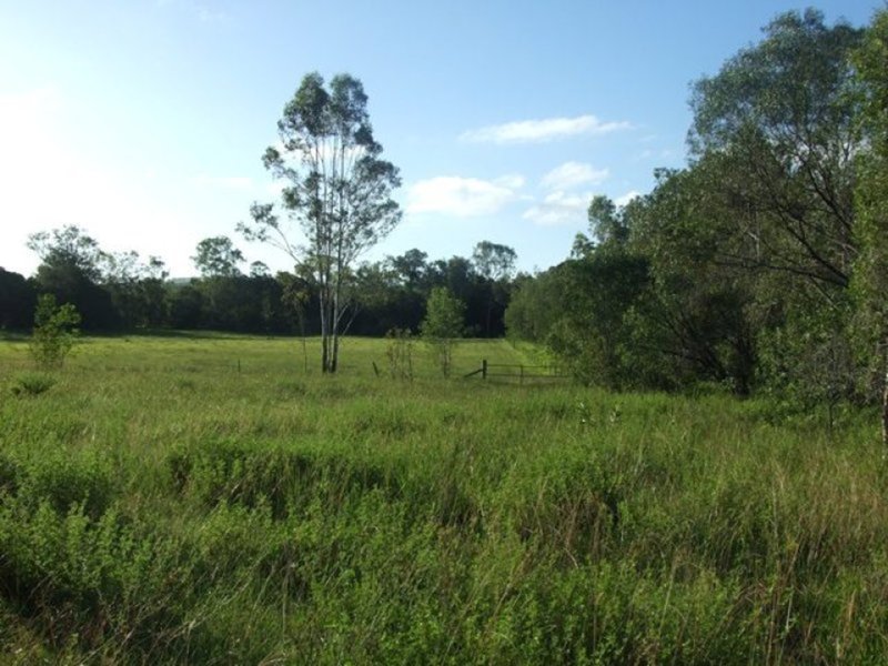 Photo - 245 Wildman Road, Iveragh QLD 4680 - Image 25