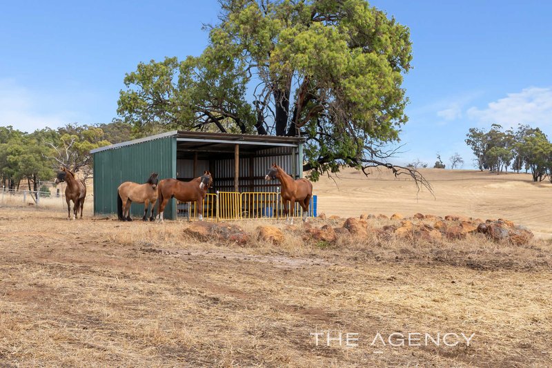 Photo - 2465 Bailup Road, Wooroloo WA 6558 - Image 30