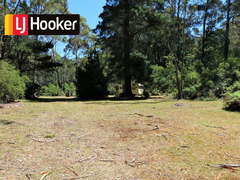 24665 Tasman Highway, St Helens TAS 7216