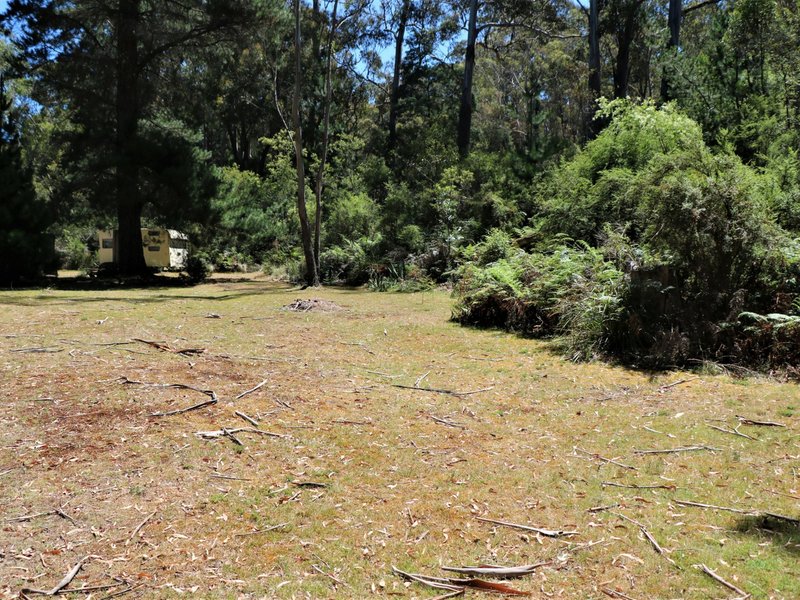 Photo - 24665 Tasman Highway, St Helens TAS 7216 - Image 3