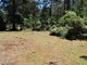 Photo - 24665 Tasman Highway, St Helens TAS 7216 - Image 3