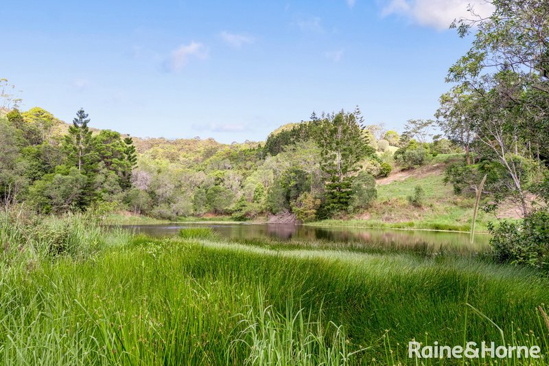 Photo - 247 Eastern Branch Road, Kin Kin QLD 4571 - Image 18