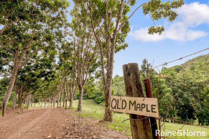 Photo - 247 Eastern Branch Road, Kin Kin QLD 4571 - Image 24