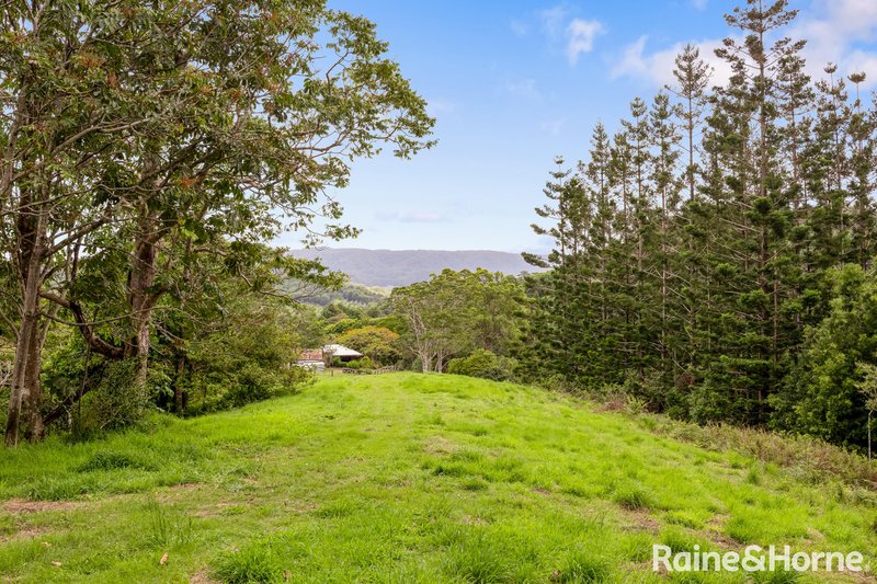 Photo - 247 Eastern Branch Road, Kin Kin QLD 4571 - Image 26