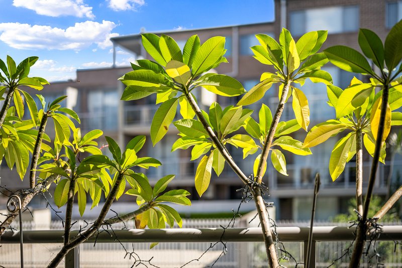 Photo - 24/79-87 Beaconsfield Street, Silverwater NSW 2128 - Image 18