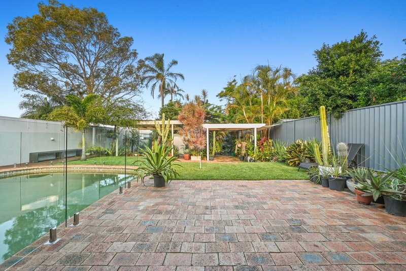 Photo - 248 Forest Road, Bexley NSW 2207 - Image 10