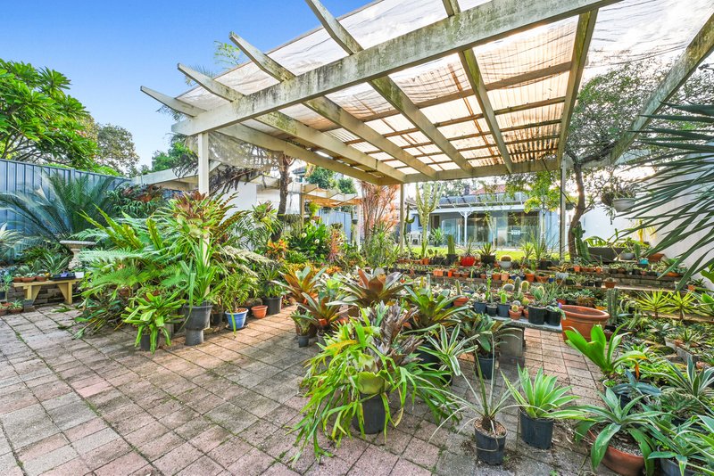 Photo - 248 Forest Road, Bexley NSW 2207 - Image 16