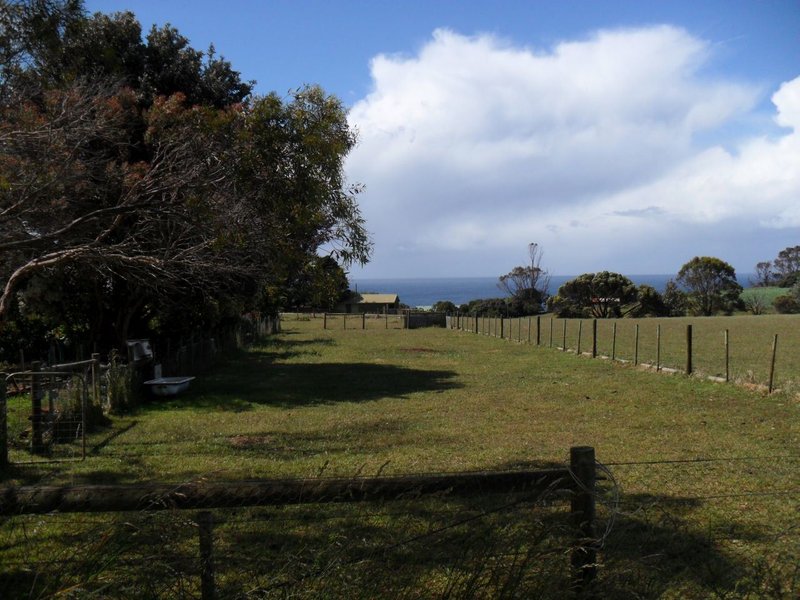 Photo - 248 Tollymore Road, Table Cape TAS 7325 - Image 11