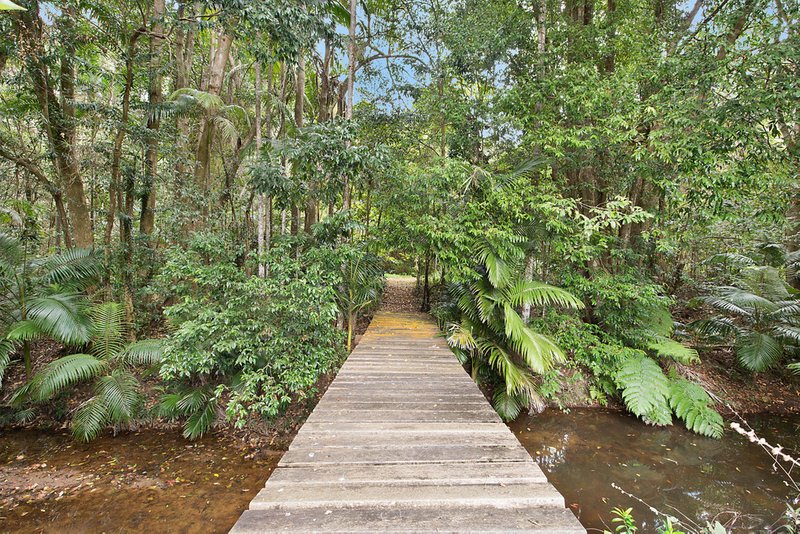 Photo - 249-259 Lindsay Road, Buderim QLD 4556 - Image 25