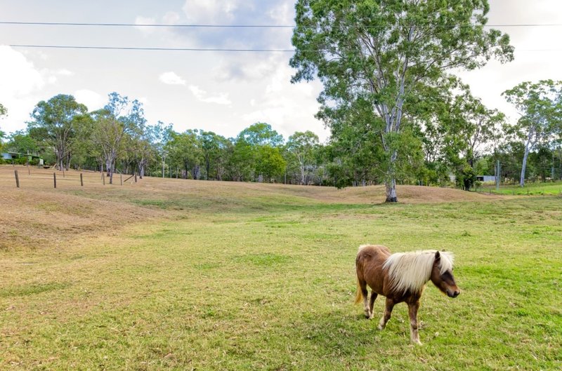 Photo - 249 Gladstone-Benaraby Road, Wurdong Heights QLD 4680 - Image 18