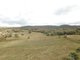 Photo - 249 Hawkins Road, Tambar Springs NSW 2381 - Image 1