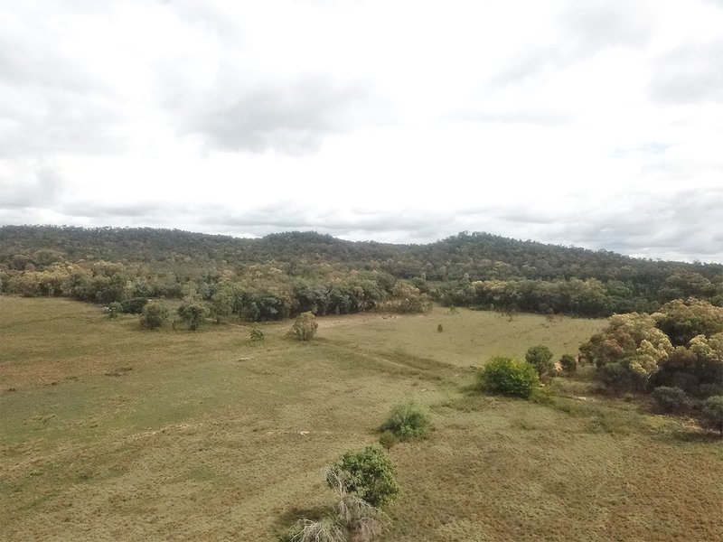 Photo - 249 Hawkins Road, Tambar Springs NSW 2381 - Image 3