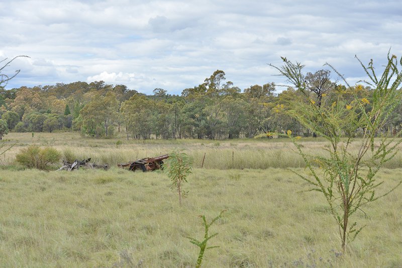 Photo - 249 Hawkins Road, Tambar Springs NSW 2381 - Image 4