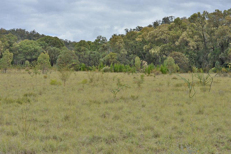 Photo - 249 Hawkins Road, Tambar Springs NSW 2381 - Image 5