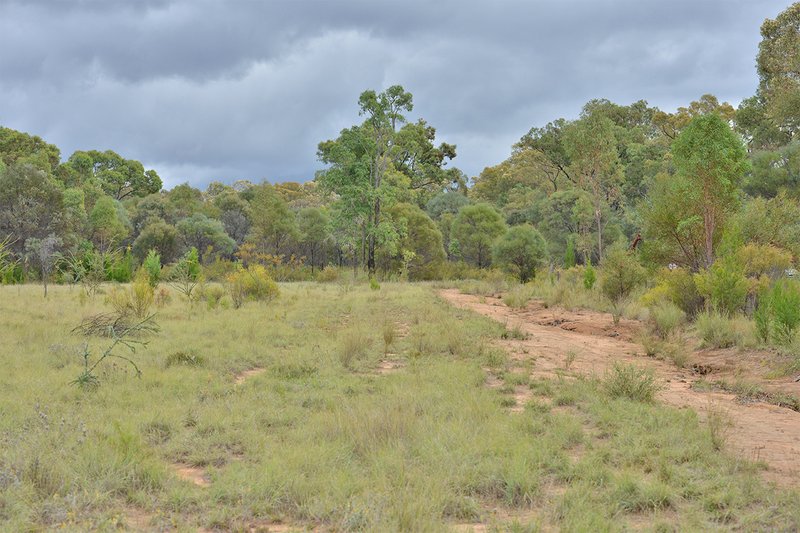 Photo - 249 Hawkins Road, Tambar Springs NSW 2381 - Image 6