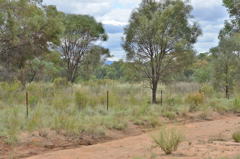 Photo - 249 Hawkins Road, Tambar Springs NSW 2381 - Image 7