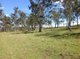 Photo - 249 South Branch Road, Maryvale QLD 4370 - Image 15