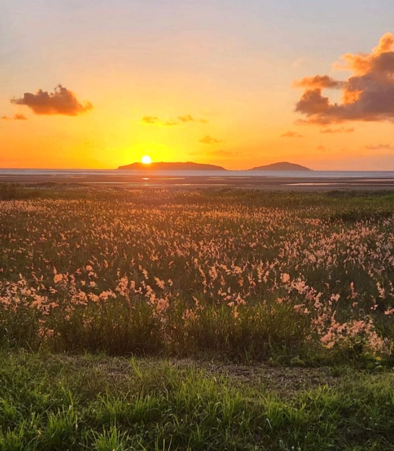 Photo - 24a Binnington Esplanade, East Mackay QLD 4740 - Image 18