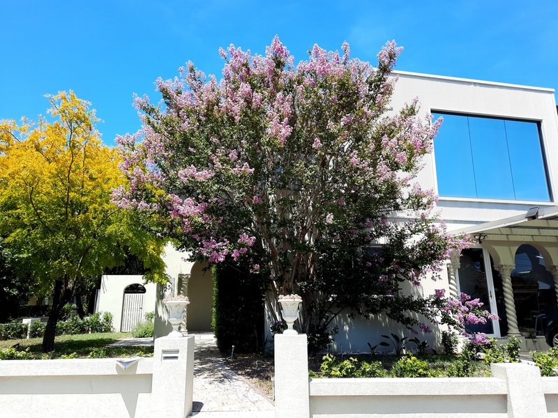 Photo - 25 Aero Street, Brighton-Le-Sands NSW 2216 - Image 1
