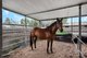 Photo - 25 Alabar Crescent, Globe Derby Park SA 5110 - Image 13